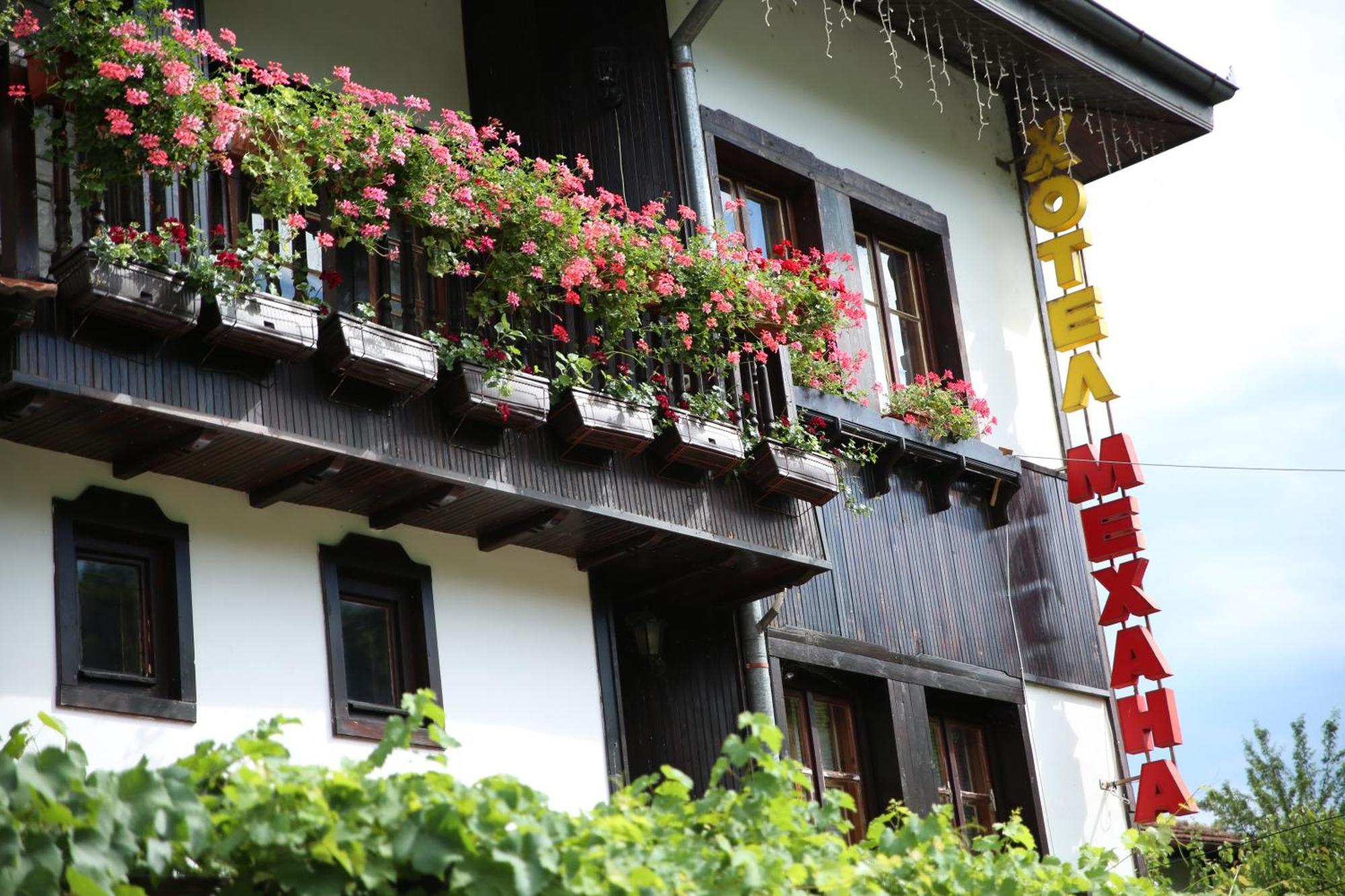 Oazis Family Hotel Loveč Exteriér fotografie